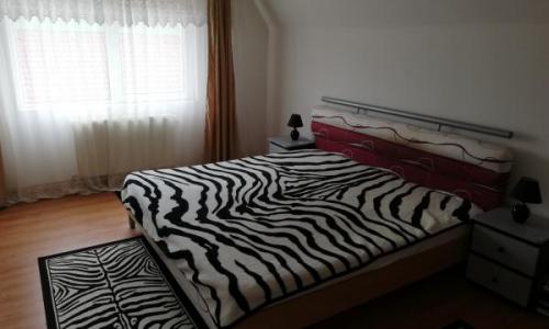 Vila cu 7 camere la Rasnov