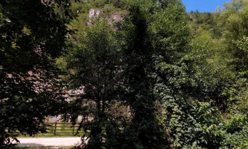 Teren intravilan in zona de vis, Govajdia, Poiana Ruscai