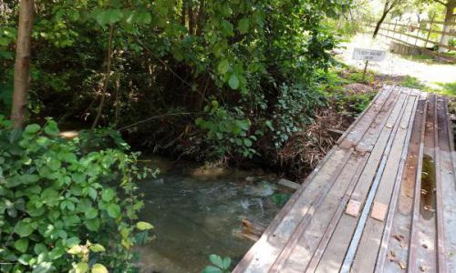 Teren intravilan in zona de vis, Govajdia, Poiana Ruscai