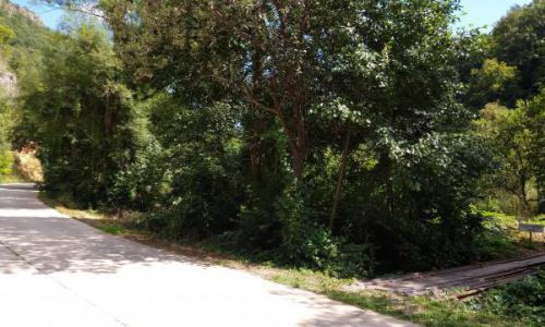 Teren intravilan in zona de vis, Govajdia, Poiana Ruscai