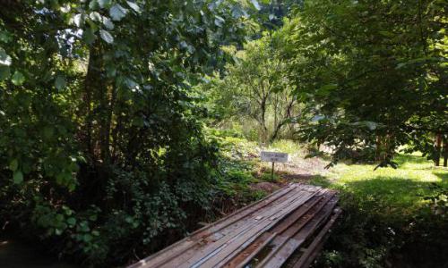 Teren intravilan in zona de vis, Govajdia, Poiana Ruscai