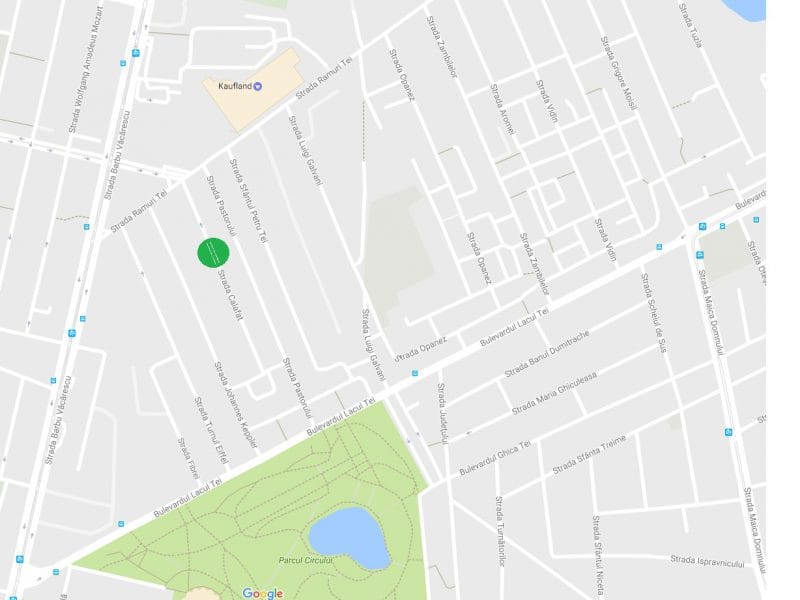 Vila Bucuresti zona Tei – Floreasca – Strada Calafat