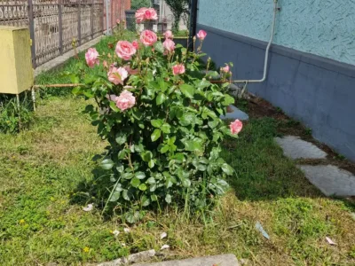 casă de vânzare în centrul orașului Târgu Lăpuș