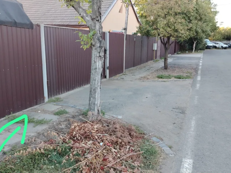 RARITATE în Ciarda Timisoara