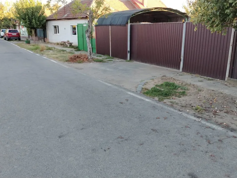 RARITATE în Ciarda Timisoara